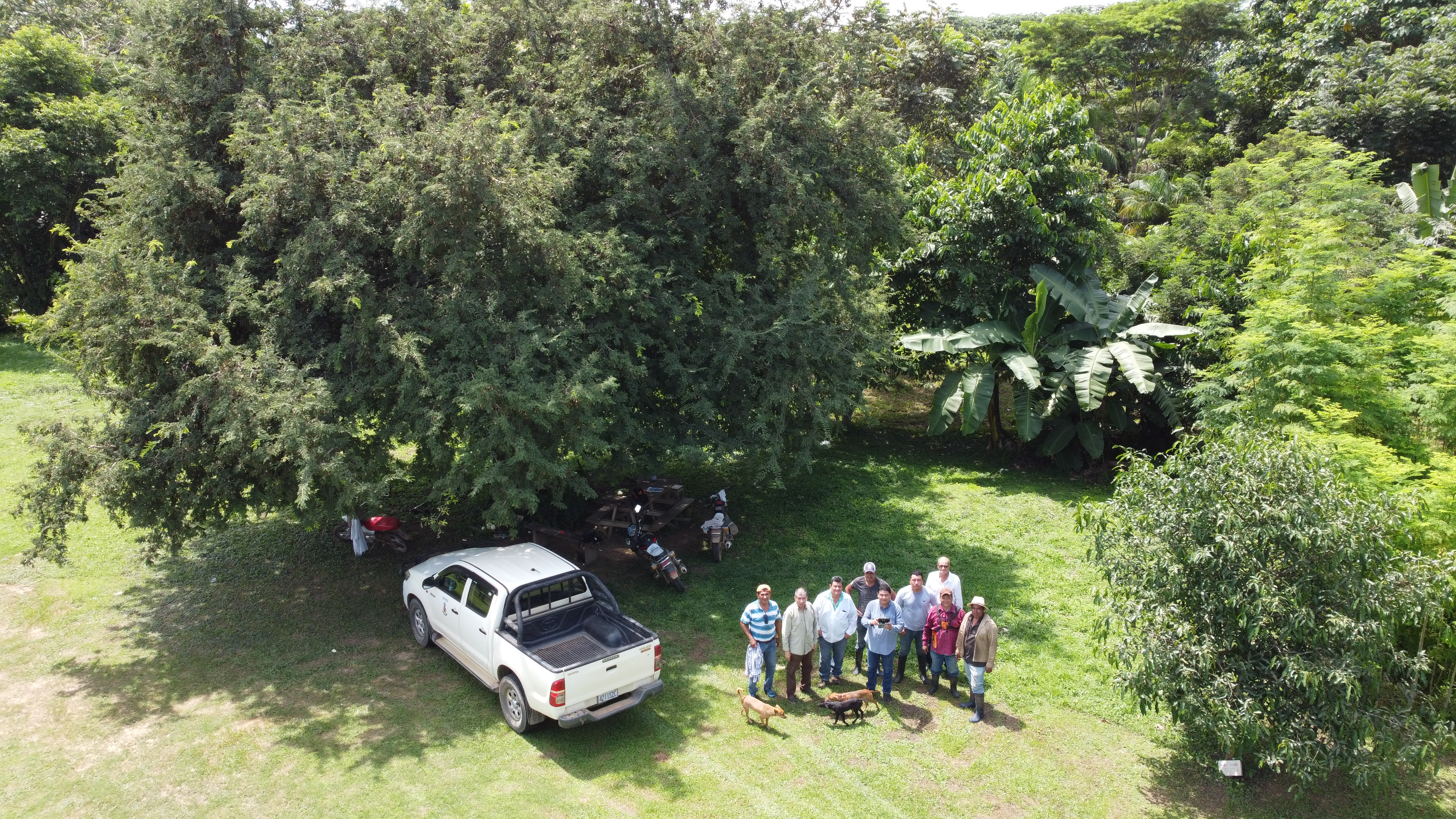 DJI_0094
